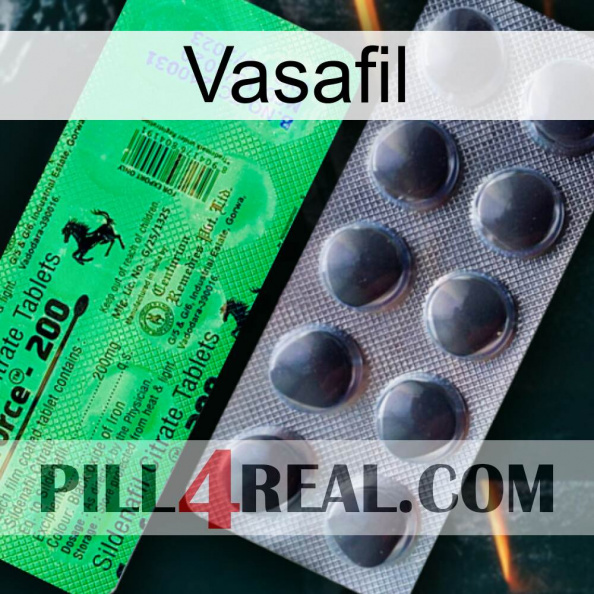 Vasafil new04.jpg